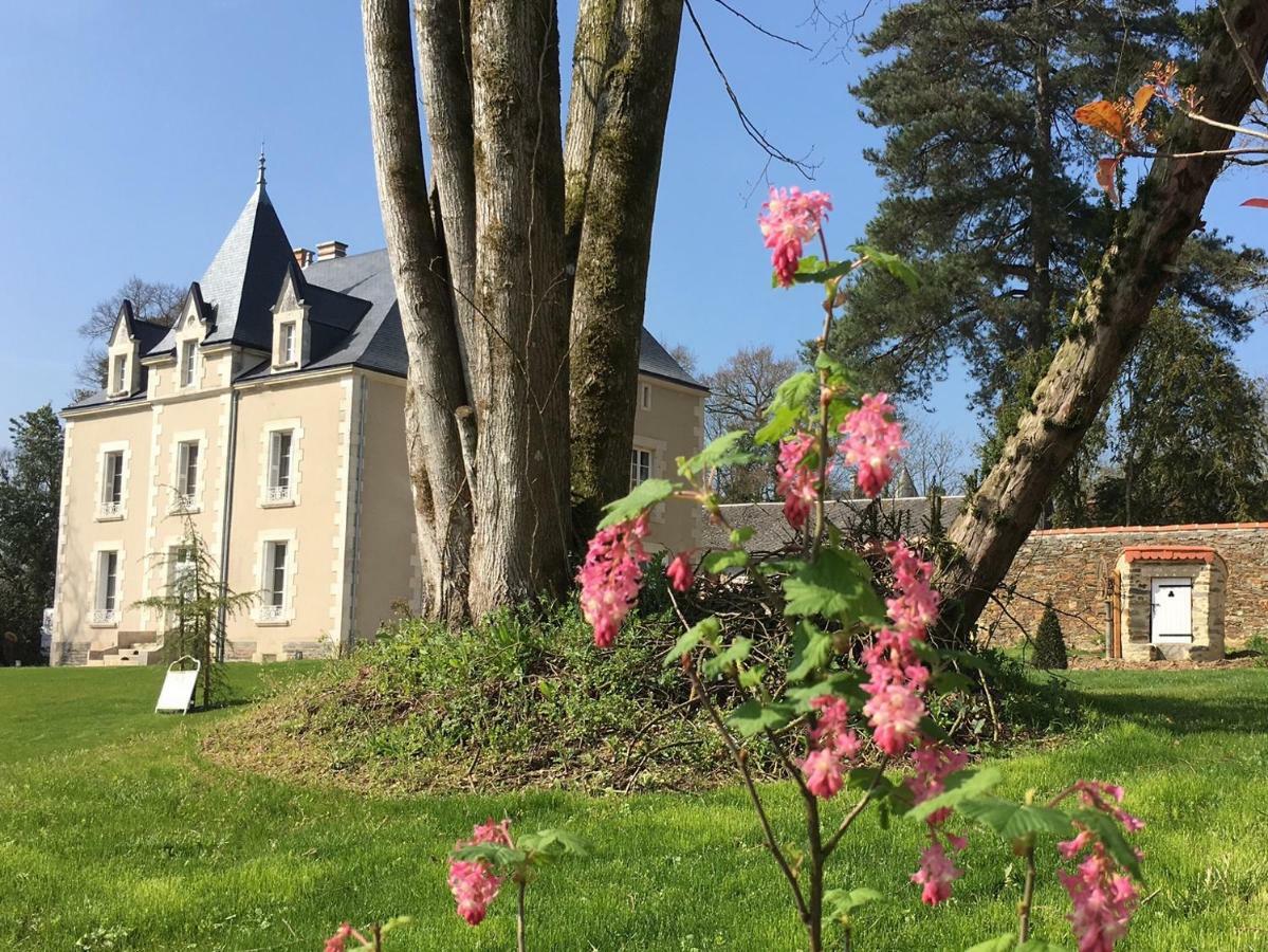 Le Petit Chateau Des Cedres Mouchamps Экстерьер фото