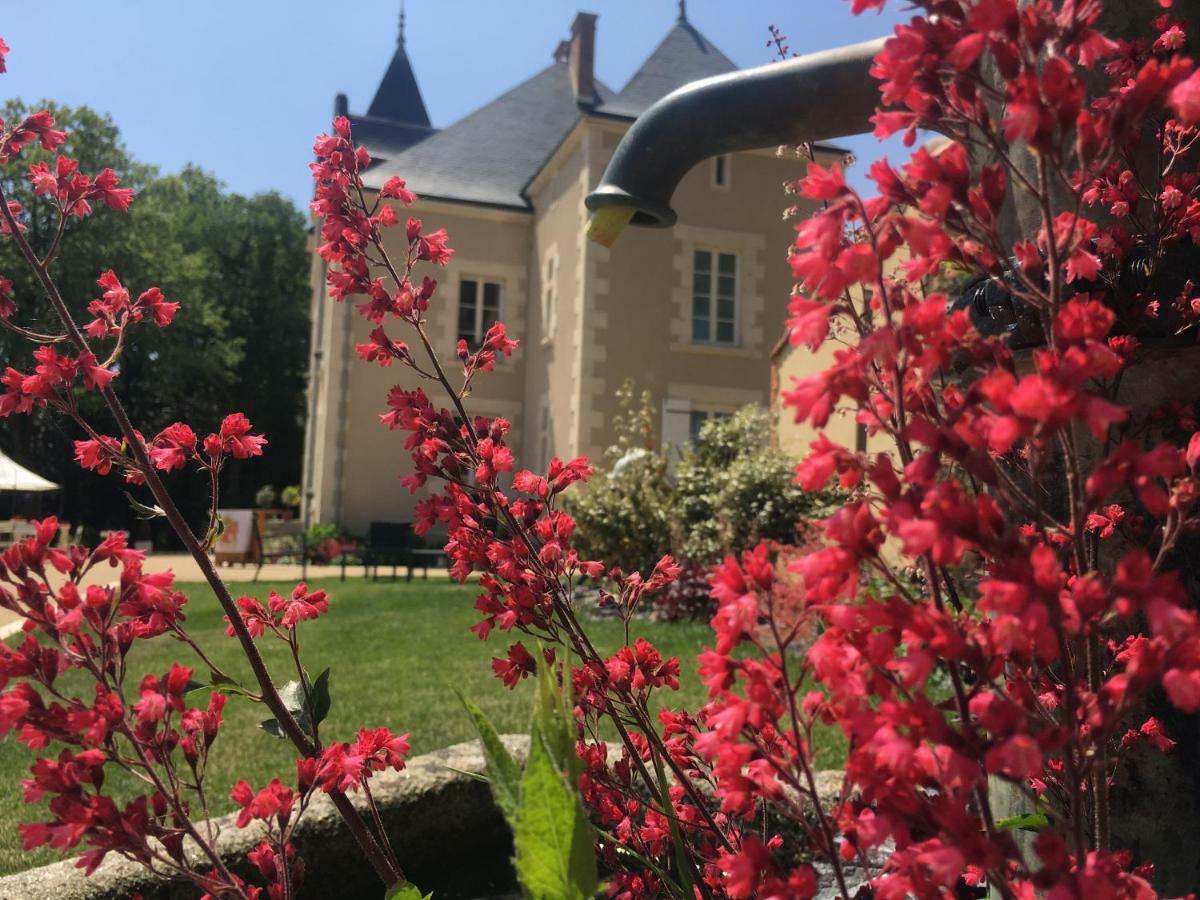 Le Petit Chateau Des Cedres Mouchamps Экстерьер фото